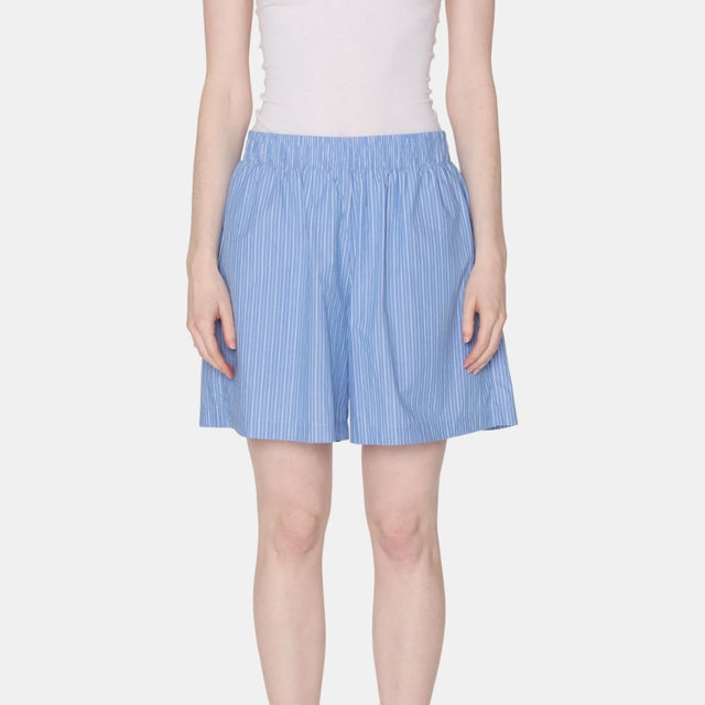 Obey Leisure Stripe Short Blue Multi