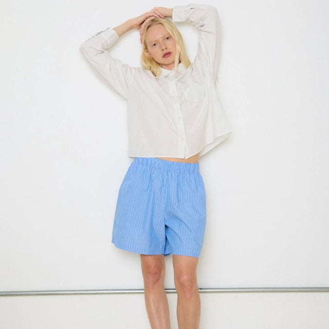 Obey Leisure Stripe Short Blue Multi